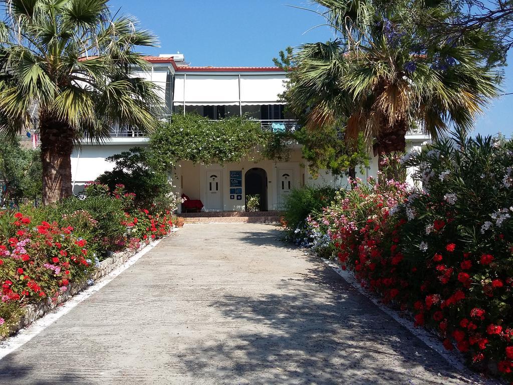 Elea Guesthouse Galaxídhion エクステリア 写真