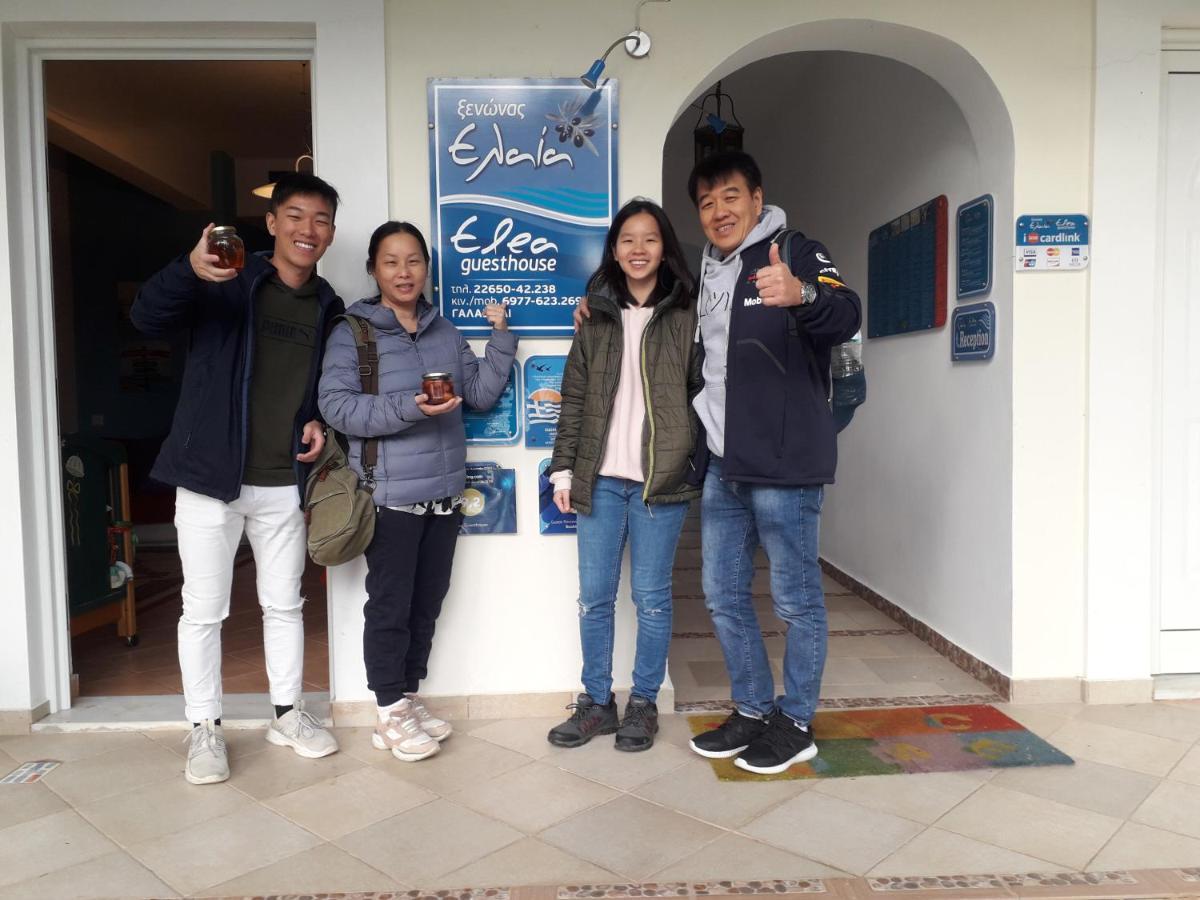 Elea Guesthouse Galaxídhion エクステリア 写真